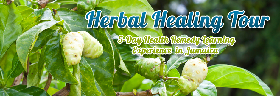 Herbal-Healing-Tour